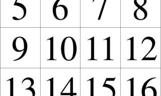 幼儿园台历 幼儿园台历